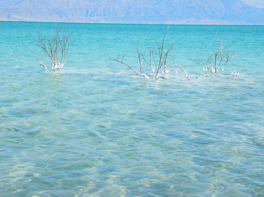 Màu nước tuyệt đẹp của Biển Chết. Ảnh: Insite-israel-tour.com.