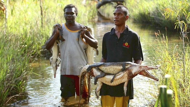 Nhung dieu gay ngac nhien cho nguoi lan dau toi Australia hinh anh