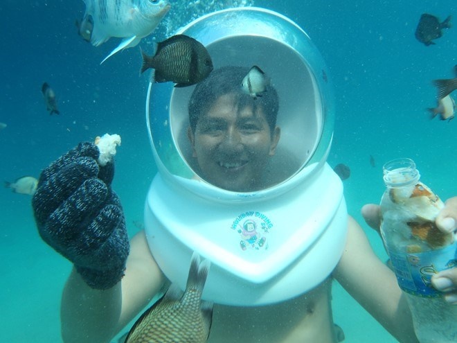 Du khách có thể cho cá ăn.