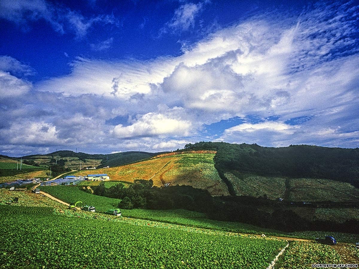 Gangneung Anbandeok-gil: Nhờ nằm khá gần Seoul (mất khoảng 3 tiếng đi xe), Gangneung ở tỉnh Gangwon là một trong những địa điểm du lịch đông khách quanh năm của Hàn Quốc. Thành phố này nổi tiếng với những ngọn núi và bãi biển, học viện Khổng Tử, bảo tàng và nhiều điểm tham quan thú vị khác.