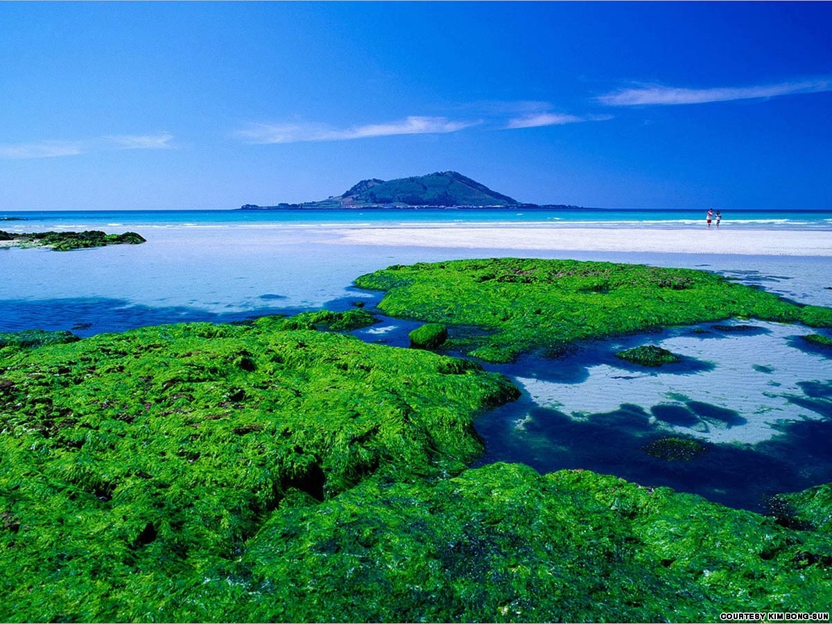 Bãi biển Hyeupjae: Nếu bạn hỏi một nhà văn người Hàn Quốc đâu là bãi biển đẹp nhất nước, thì hầu hết đều sẽ trả lời đó là bãi biển Hyeupjae.