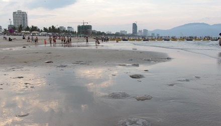 Sua chet hang loat gay o nhiem tai bai bien Da Nang hinh anh