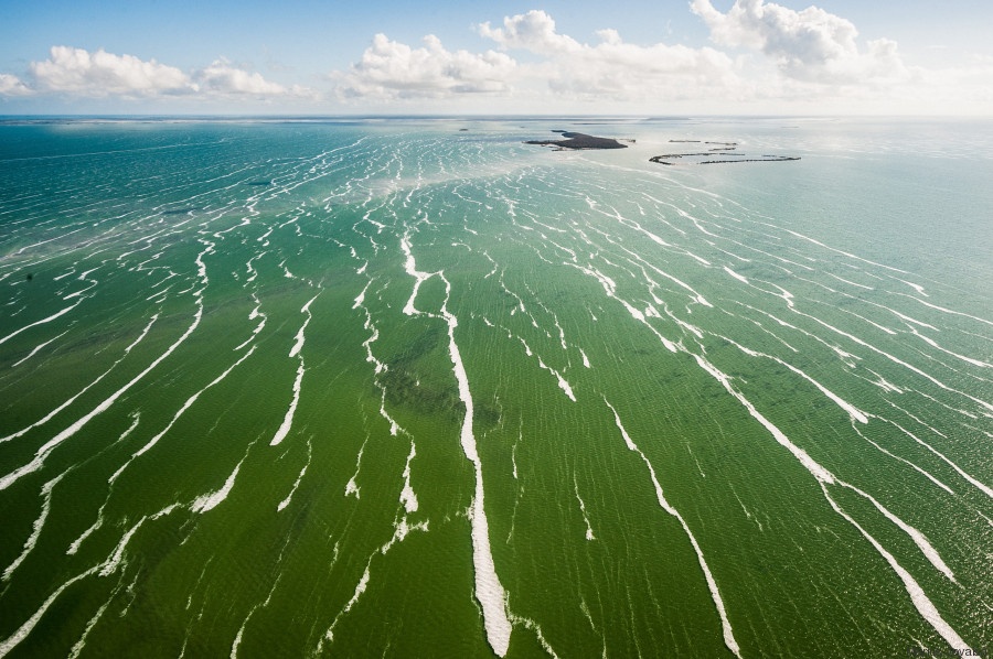 Cuốn sách ảnh “Unseen Cuba” (tạm dịch: Cuba bí ẩn) là kết quả của dự án kéo dài 5 năm do Jovaiša và cộng sự thực hiện.