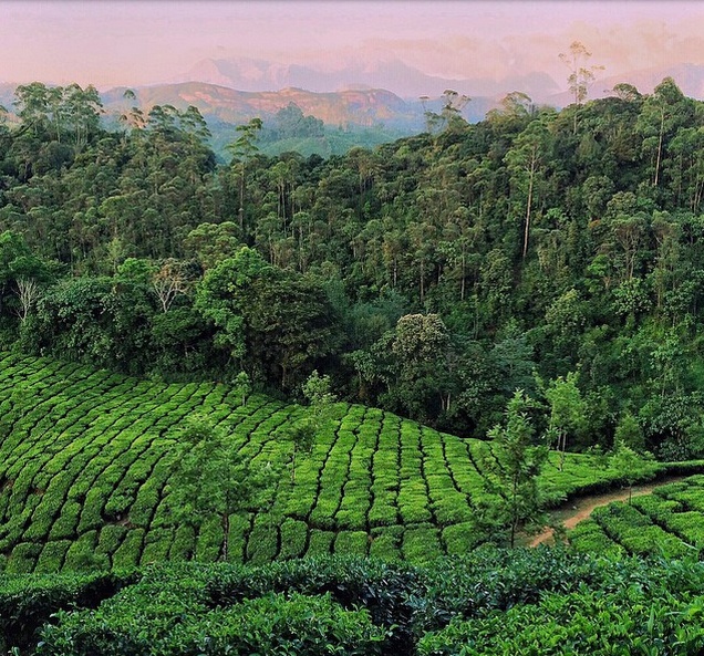 Zach Glassman (@zachspassport) mô tả mình là “con trai của một người mẹ mê du lịch và một người cha chuyên viết về phiêu du, họ gặp nhau trên một chiếc xe bus ở Guatemala