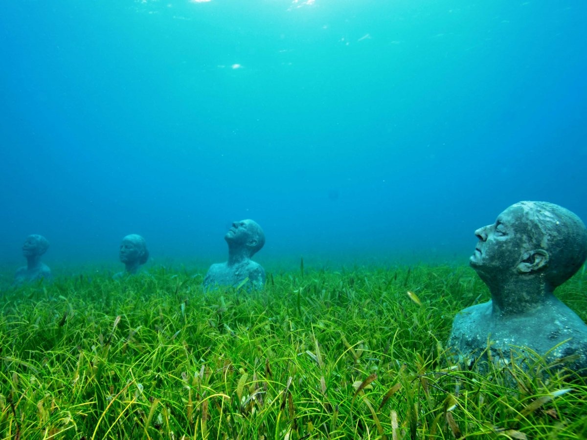 Taylor lấy cảm hứng cho các bức tượng của mình từ cư dân của làng chài Puerto Morelos và phủ lên tượng một lớp xi măng có độ PH trung tính để san hô có thể mọc được. 