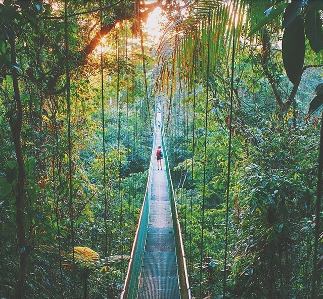 Nhung buc anh khien ban muon xach balo len va di (phan 2) hinh anh