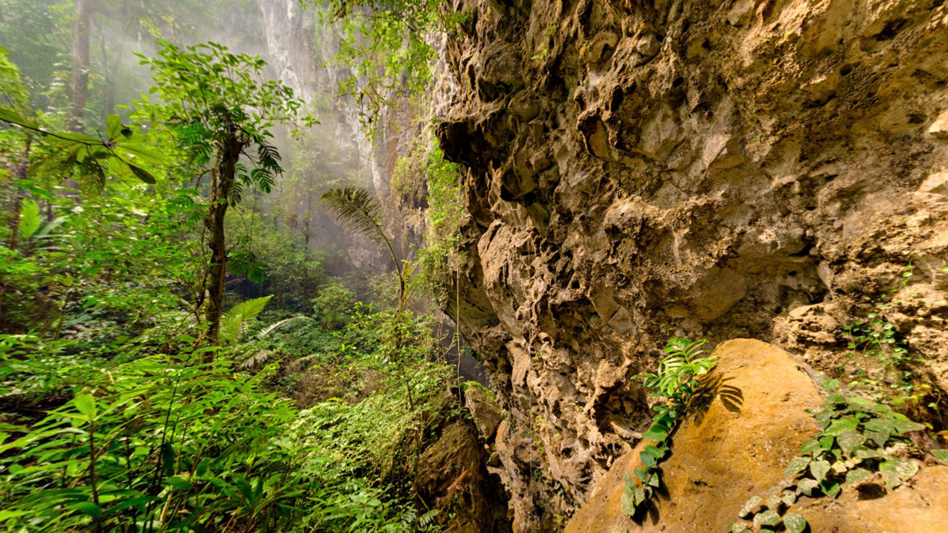  Vườn quốc gia Phong Nha - Kẻ Bàng là khu vực khá xa xôi, hẻo lánh và được bảo tồn tốt ở miền Trung Việt Nam. Nơi này nằm cách Hà Nội khoảng 500 km, tiếp giáp Lào. Là một phần dãy Trường Sơn, toàn bộ vườn quốc gia nằm trên một khối núi đá vôi lớn, tạo điều kiện cho sự hình thành của hàng trăm hang động. Phần lớn các hang thông nhau, ước tính tổng chiều dài của hệ thống hang lên tới hơn 200 km.