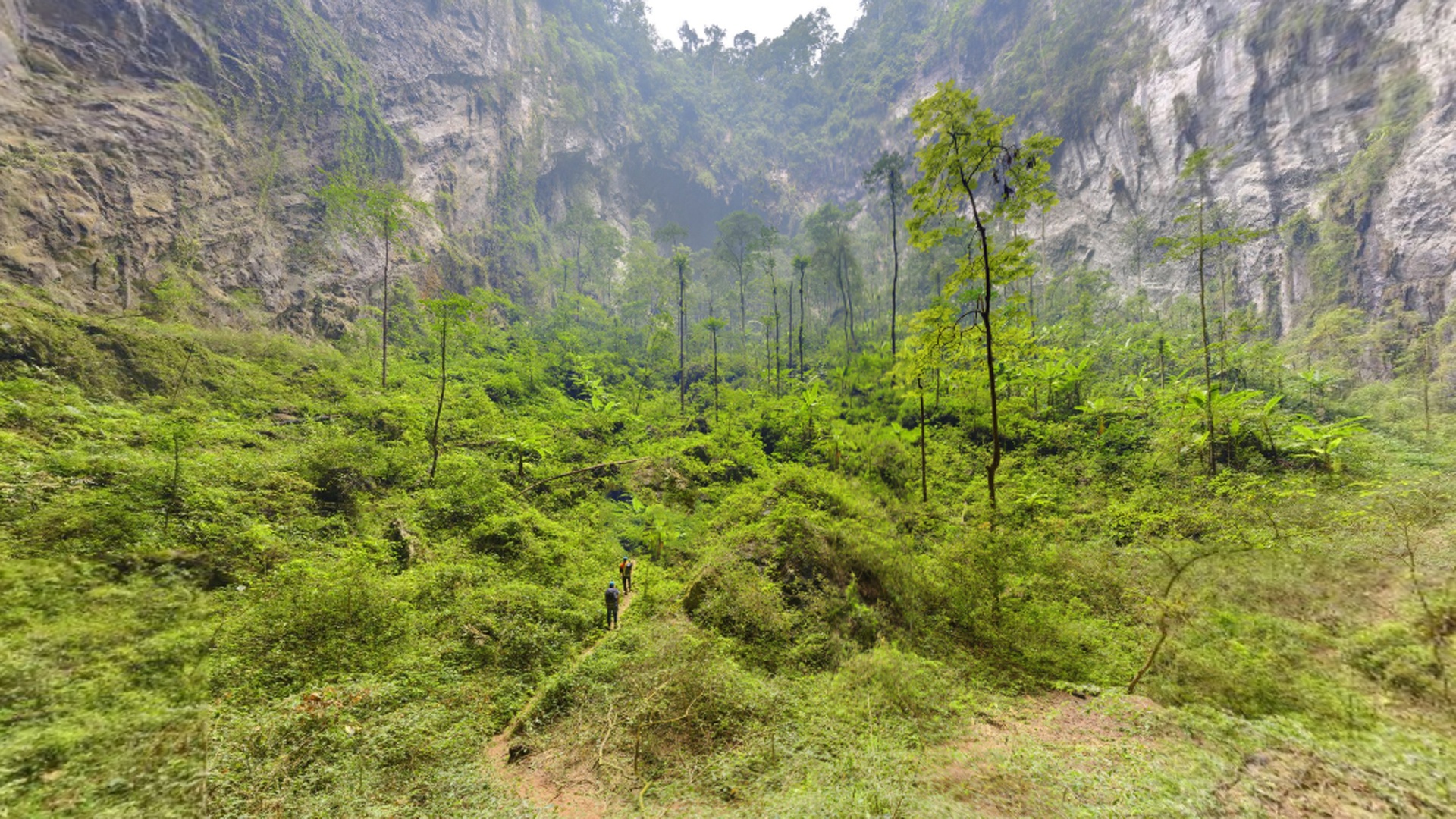Đây là “Vườn Edam”, mảng sụt này lớn hơn “Coi chừng khủng long” rất nhiều, trải dài 163 m với thảm thực vật dày đặc. Phần trần hang này sụp xuống không phải do đá yếu mà do nằm ở giao điểm của hai đường đứt gãy địa chất. Sự giao động của hai đường này khiến trần hang sụp xuống. Ngày nay, ở đáy mảng sụt này có một khu rừng rậm rạp với cây cao và đủ loại động thực vật.