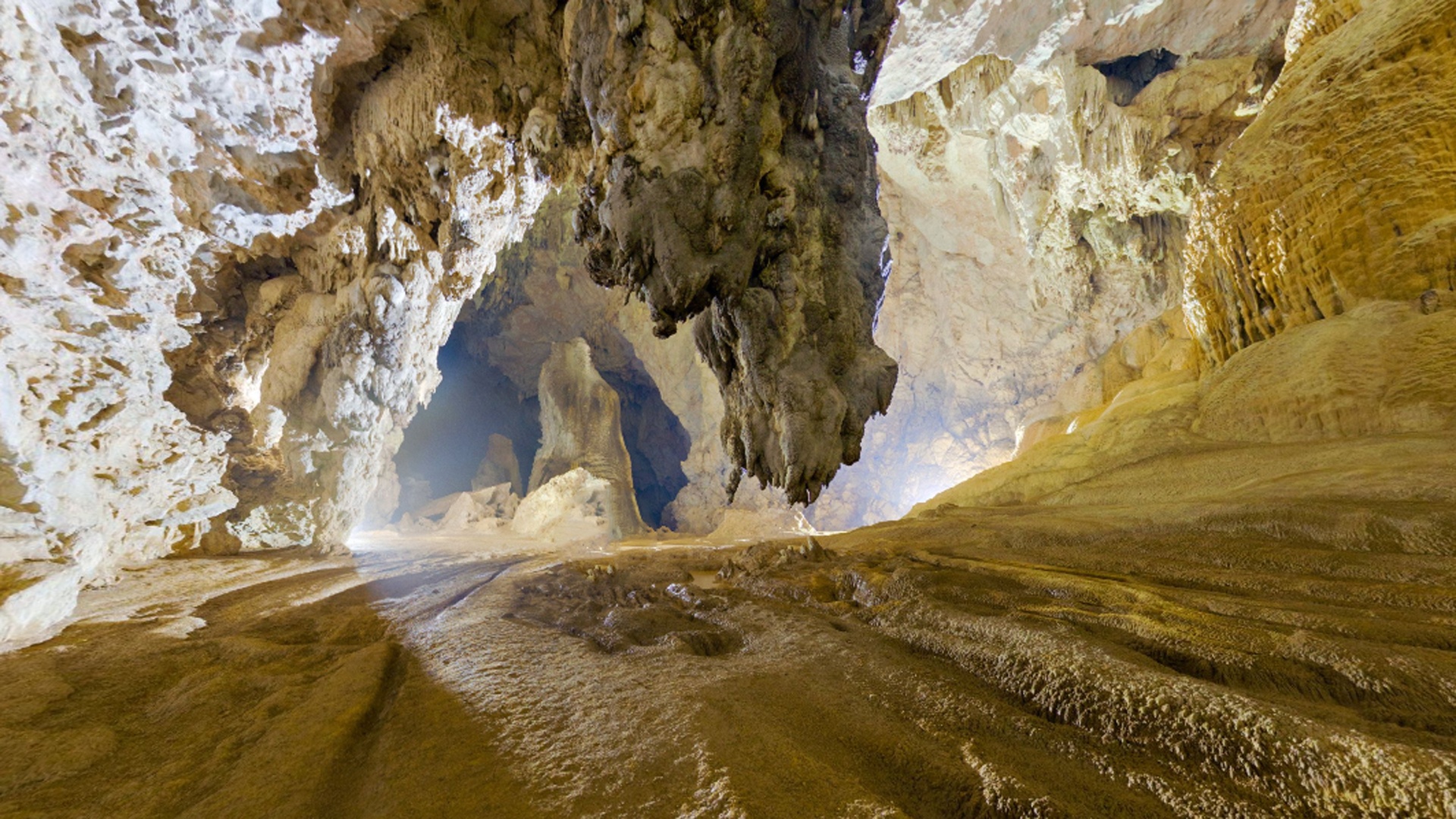 Giờ bạn đang tiến vào đoạn thấp và tối hơn của Sơn Đoòng, cần tới ánh sáng nhân tạo để nhìn được xung quanh. Nếu không có đèn pin, bạn sẽ hoàn toàn chìm trong bóng tối. Môi trường thiếu sáng và trơ trụi bên trong hang Sơn Đoòng khiến nhiều loài bọ phải thích nghi, đã có ít nhất một loại mối và một loại cá mới được phát hiện.