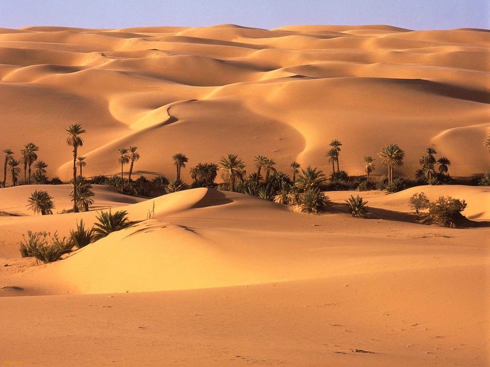 Al-Aziziyah (Libya): 57,8 độ C - nhiệt độ không khí cao nhất từng được ghi nhận.