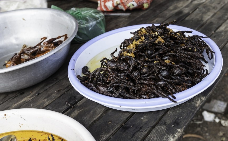 Nhện đen Tarantula: Vẻ ngoài đáng sợ của chúng có thể khiến nhiều người phải hét lên, nhưng ở Campuchia và Thái Lan thì đây lại là một đặc sản khoái khẩu. Nhện được bỏ răng nanh sau đó rán hoặc nướng. Món ăn này rất giàu protein nhưng không phải ai cũng đủ can đảm thưởng thức.