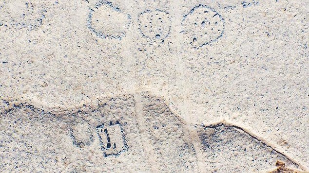 Nhung vong tron da bi an o Hoa Diem Son hinh anh