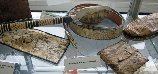 6. Không chú ý tới luật hải quan: Kỳ nghỉ kết thúc và bạn đang trên đường về với vài món đồ lưu niệm lạ lùng, thú vị. Nhưng nếu bạn đọc các biển báo ở hải quan sân bay, bạn sẽ biết có một số món đồ không được phép mang ra khỏi quốc gia đó. Đừng để mình gặp rắc rối với hải quan chỉ vì không tìm hiểu kỹ. Ảnh: Dresden-airport.