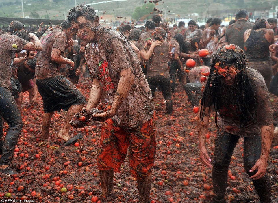 Thật khó để quan sát khi nước cà chua bắn tung tóe khắp nơi. 