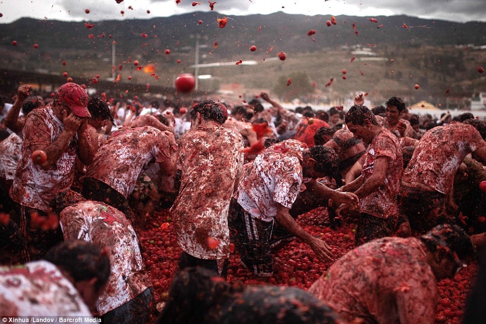 Le hoi tieu ton ca tram tan ca chua o Colombia hinh anh