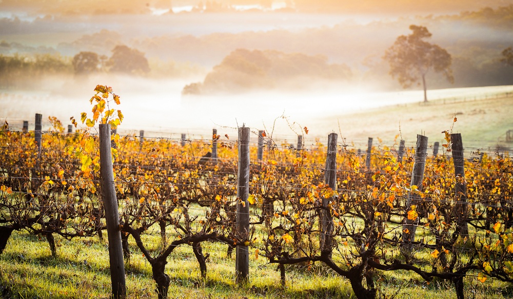 Từ Perth tới Albany (Australia): Tuyến đường tuyệt đẹp này đi qua nhiều vùng biển xanh biếc, khu trồng rượu nho và các điểm tham quan lịch sử. Ảnh: 