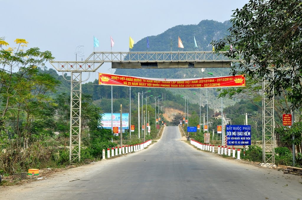 Mat dat bat ngo rung lac, hang nghin nguoi dan hot hoang hinh anh