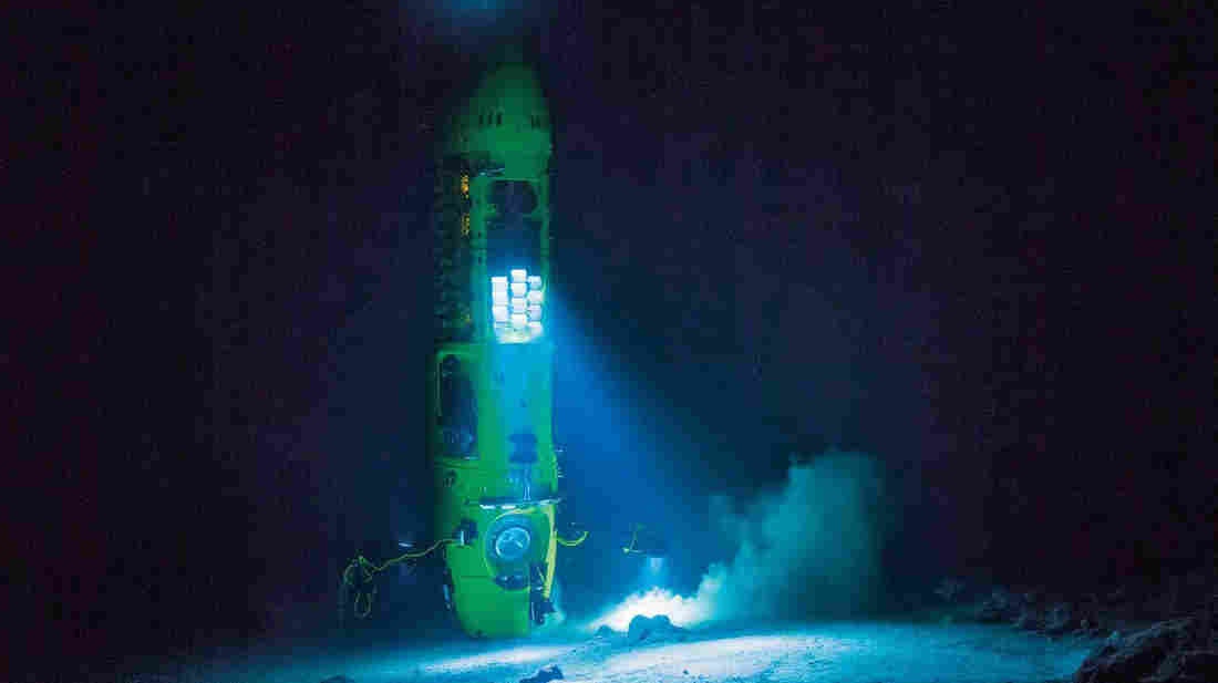 Rãnh Mariana, Thái Bình Dương: Đây là nơi sâu nhất Thái Bình Dương, hấp dẫn những người yêu thích lặn biển hoặc muốn phá kỷ lục thế giới. Tuy nhiên, việc lặn xuống đây rất nguy hiểm và khó khăn.