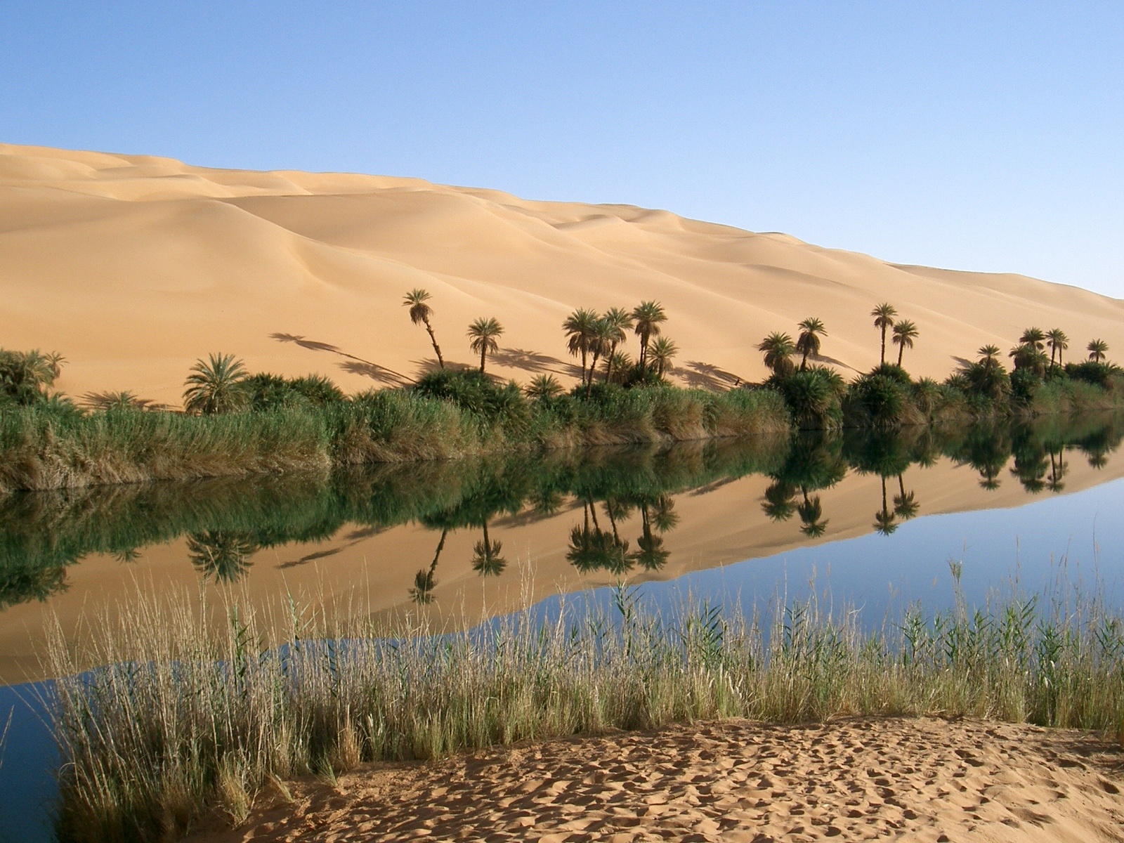 Ốc đảo sa mạc: Một phần lãnh thổ Tunisia nằm trong Sahara, sa mạc lớn nhất thế giới, với nhiều ốc đảo xinh đẹp. Du khách có thể trải nghiệm cuộc sống của người dân Sahara ở các ốc đảo này, nơi dừng chân của các loài chim trên đường di trú. Ảnh: Freshwaterblog.