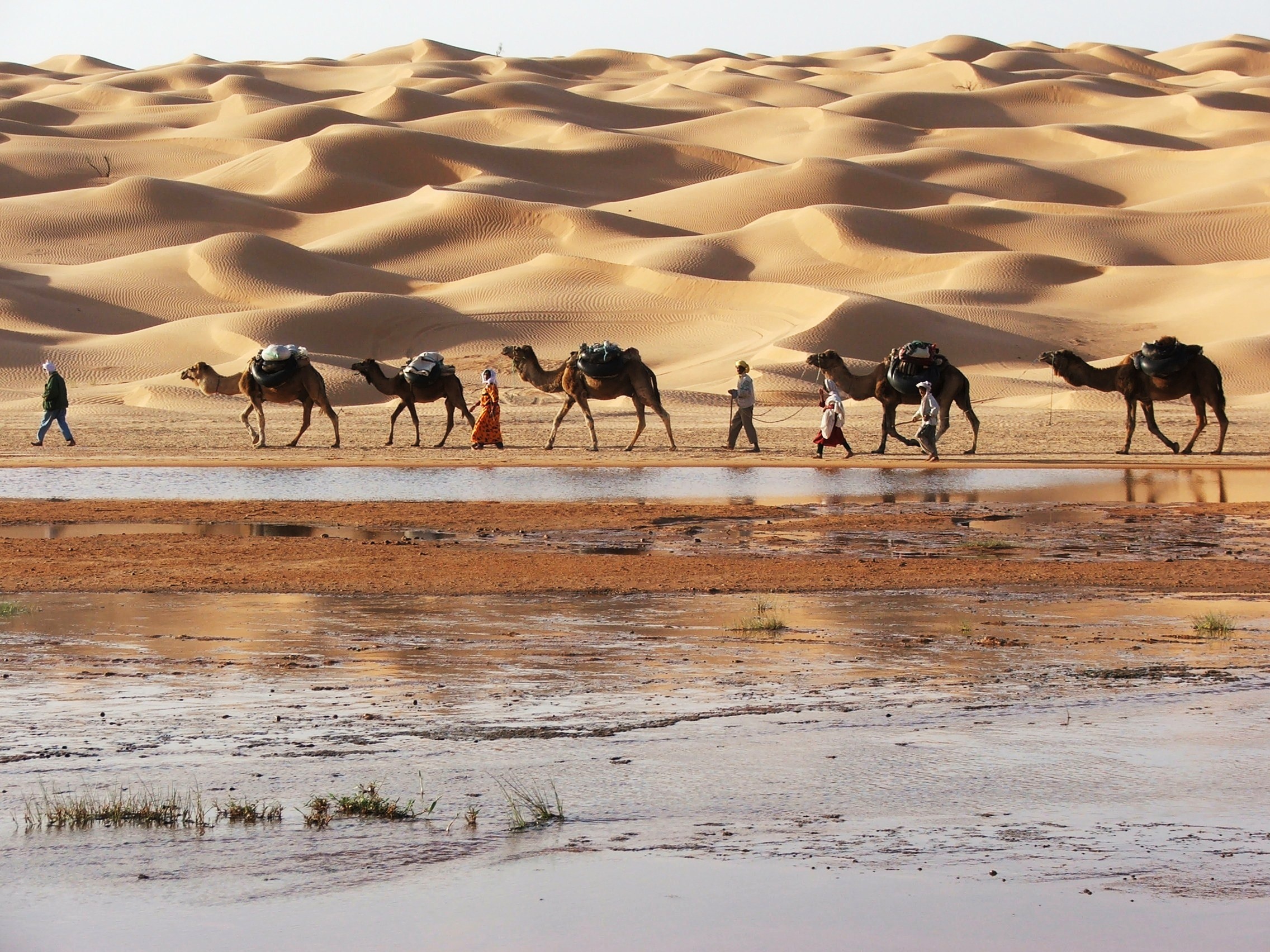Sa mạc Sahara: Khu vực sa mạc Sahara ở Tunisia có những đồi cát vàng lộng lẫy và mịn màng, tạo ra khung cảnh lý tưởng để các du khách cưỡi lạc đà tham quan. Khi mặt trời lặn, ánh sáng màu cam đỏ rọi lên cát là cảnh tượng khó quên với bất cứ ai. Bạn có thể dành một đêm trên sa mạc, xa khỏi ồn ào thành phố và ngắm nhìn bầu trời đầy sao. Ảnh; Liliakamoun.