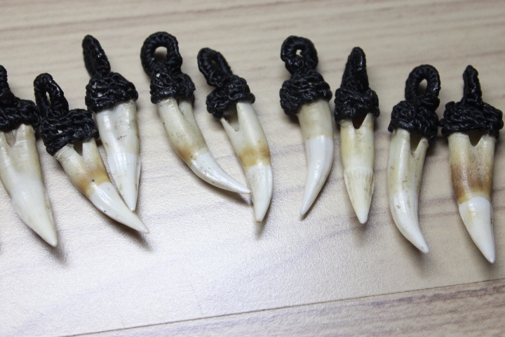 Răng cá sấu: Đây không chỉ là món trang sức được những tay lướt sóng ở California yêu thích vì đem lại vẻ mạnh mẽ, mà còn là bùa cầu may lúc chơi bài của một số nền văn hóa châu Phi. Ảnh: Ebay.