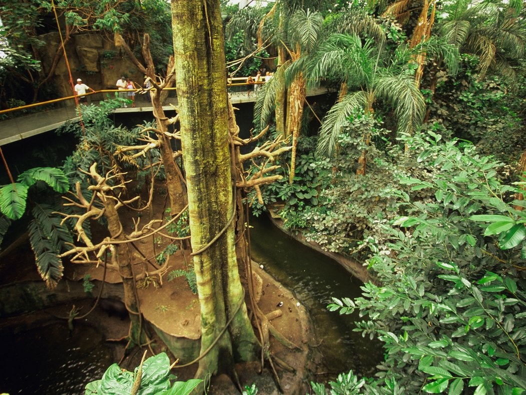 Trải nghiệm rừng rậm và sa mạc ở Nebraska: Vườn thú Henry Doorley ở Omaha là nơi có rừng và sa mạc trong nhà lớn nhất thế giới, với đủ các động thực vật đặc trưng. Khu sa mạc tái hiện lại các vùng khô cằn, nơi du khách có thể quan sát rắn hổ mang, chồn Meerkat... Khu Lied cho du khách trải nghiệm cảm giác đi xuyên rừng rậm, với thác nước và những chú khỉ chuyền cành vụt qua.