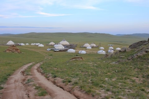 Mong Co du ky: Bi mat cua thao nguyen hinh anh