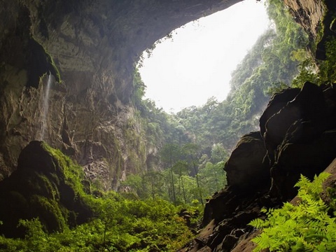 Hang Son Doong va con cua luoc 420 gram hinh anh