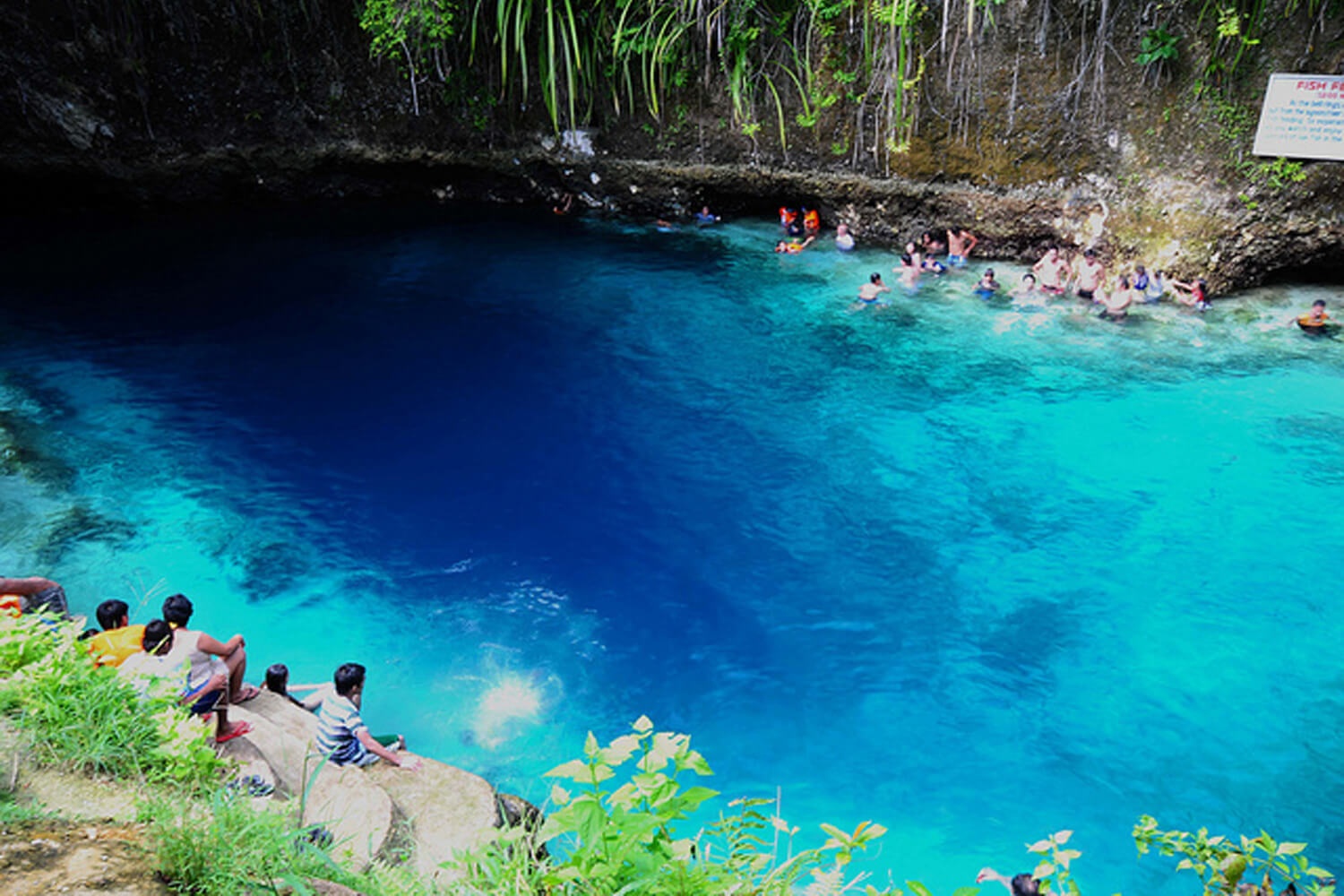 Nhung be boi tu nhien ngoan muc nhat the gioi hinh anh
