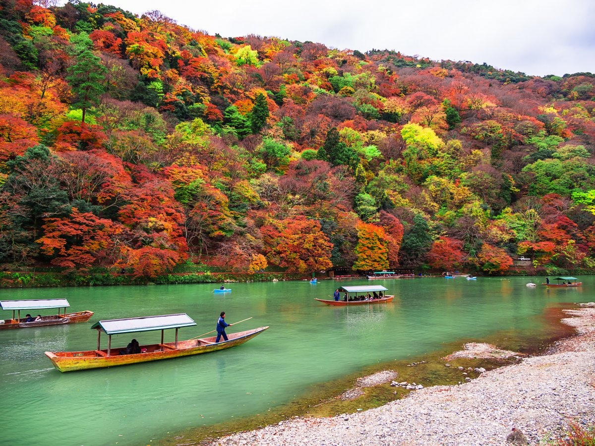Vi sao Kyoto la thanh pho du lich tuyet nhat the gioi? hinh anh