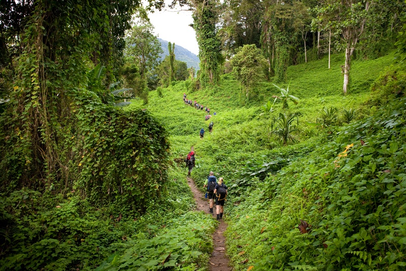 Đường Kokoda (Papua New Guinea): Nếu muốn trải nghiệm thời tiết khắc nghiệt và đối mặt với nguy cơ mắc bệnh sốt rét, bạn nên thử đi tuyến đường dài gần 100 km qua nơi người Koiari sinh sống. Du khách sẽ phải trải qua 12 ngày đi bộ dưới nắng gắt, mưa dữ dội và ngủ đêm trong không khí lạnh buốt.  Ảnh: Damiancaniglia.