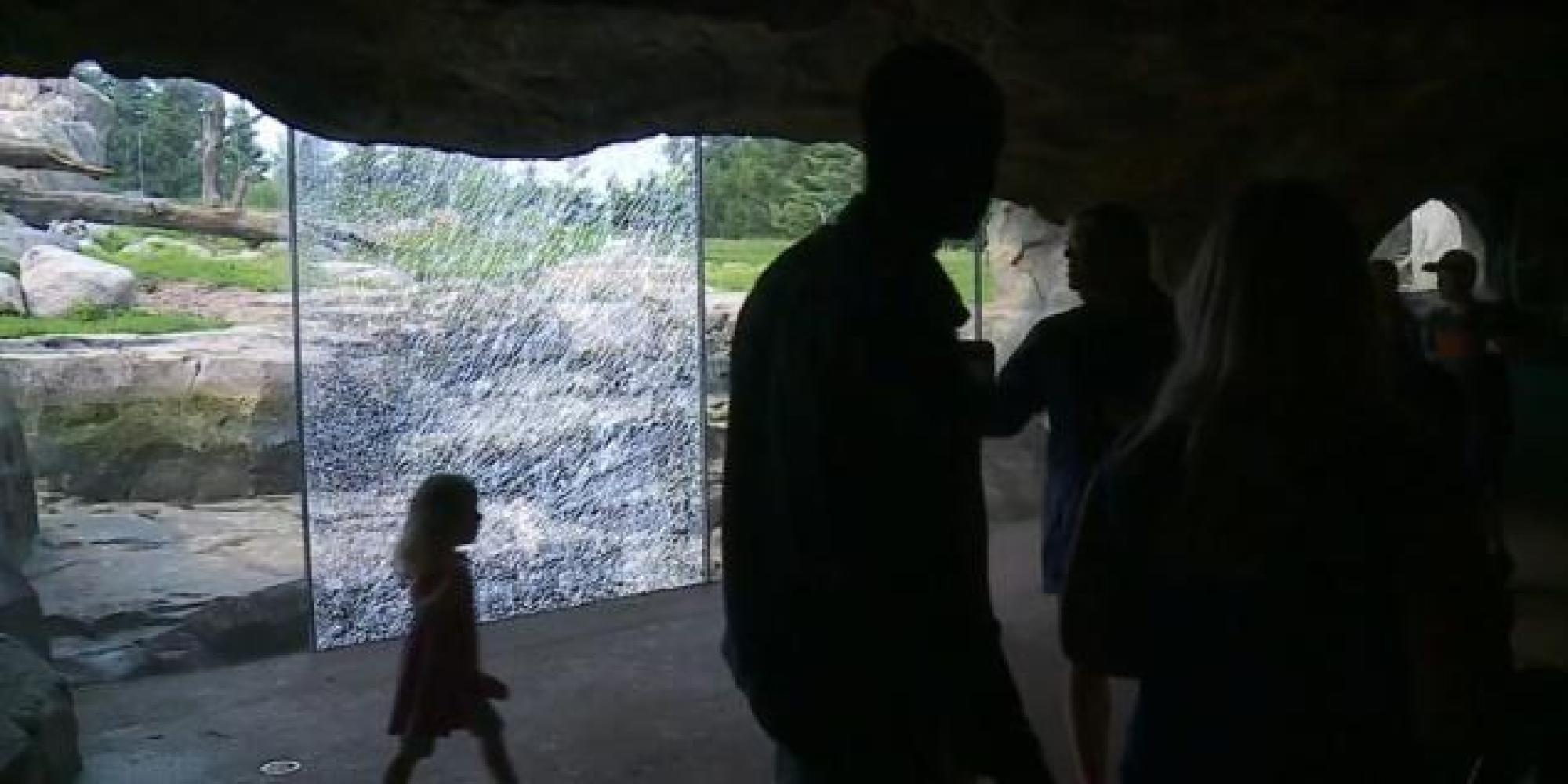 Gau xam be da dap cua kinh chuong o so thu hinh anh