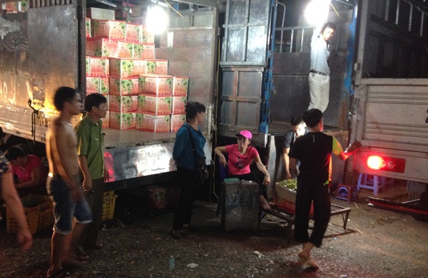 Thay vì bán theo cân thì ở đây bán theo thùng, mỗi thùng chỉ 17 kg.