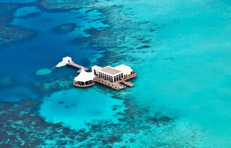 Hiện nay, nhà hàng không chỉ phục vụ bữa trưa mà còn là nơi tổ chức đám cưới, các tour thủy sinh vật học, buổi nếm rượu và sự kiện theo chủ đề. Ảnh; Pinterest.