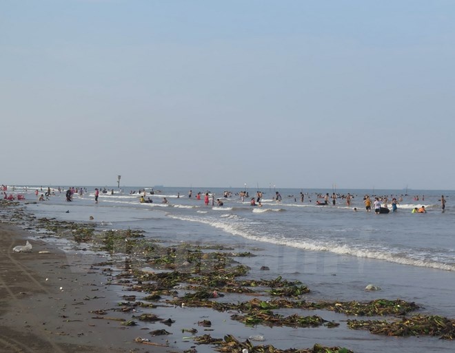 Du khách tắm chung với… rác, bèo. Ảnh: Xuân Tiến-Hải An.