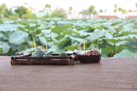 Thuong tra sen ho Tay hinh anh