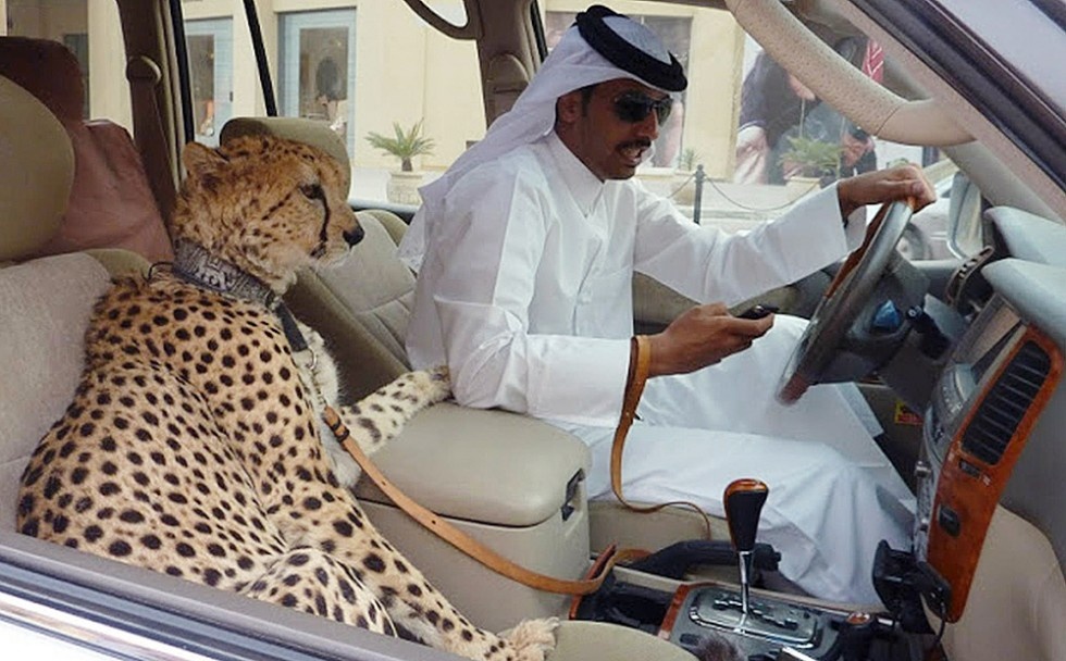 Dubai dang ghet nhu the nao? hinh anh