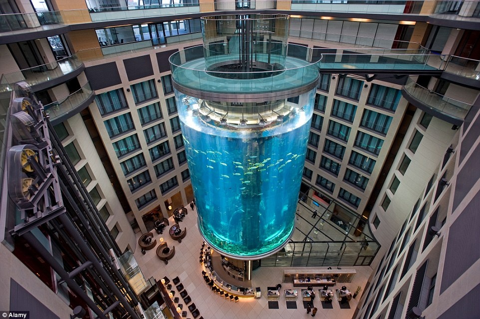 AquaDom thuộc khách sạn Radisson Blue, Berlin, Đức, một phần của Sea Life Berlin - thế giới dưới nước kỳ ảo ở đây. 