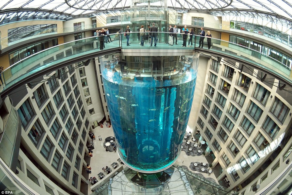 Thang máy có các mặt bằng kính cho du khách chiêm ngưỡng được mọi góc cạnh của bể cá. Thành bể có độ dày lên tới 22 cm.