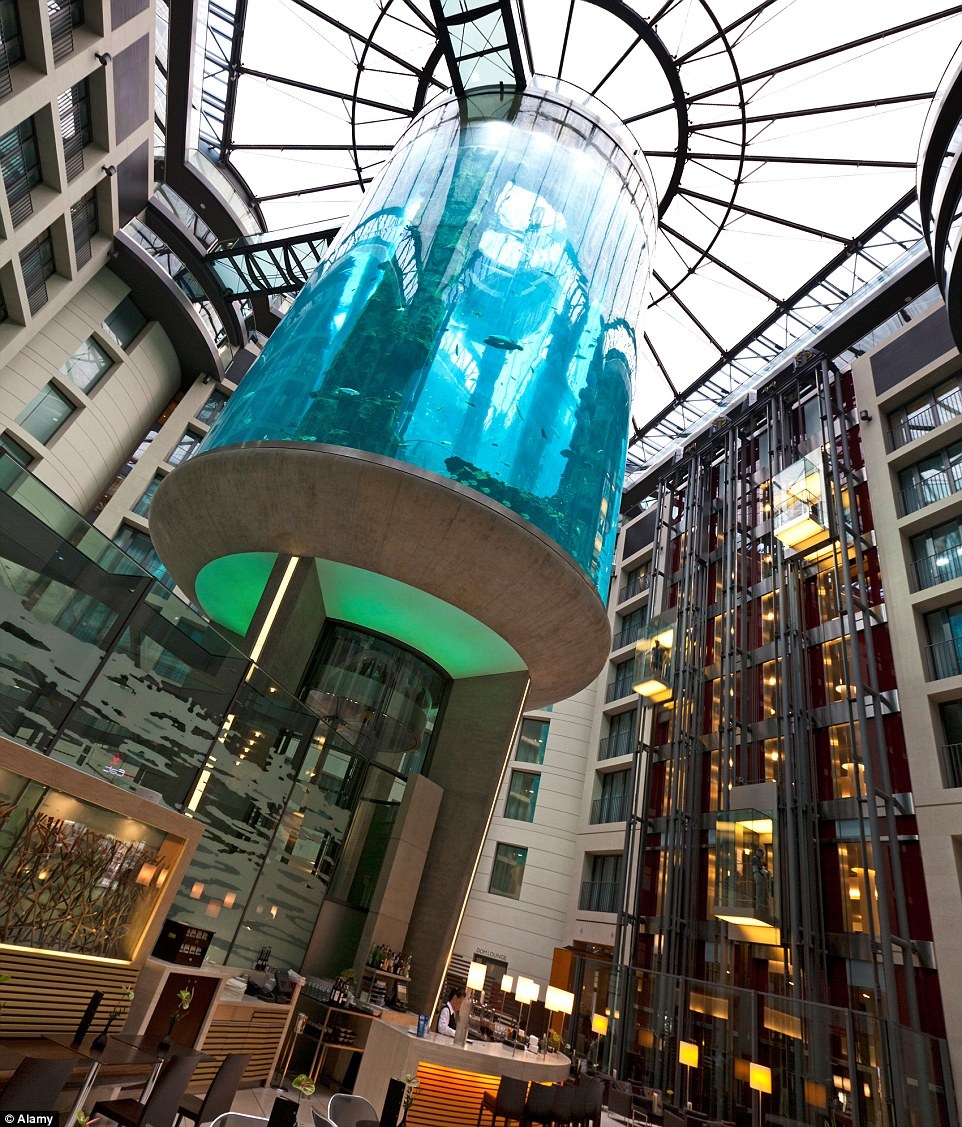 Với chiều cao 25 m và chứa hơn 1 triệu lít nước, đây là bể thủy sinh hình trụ lớn nhất thế giới.