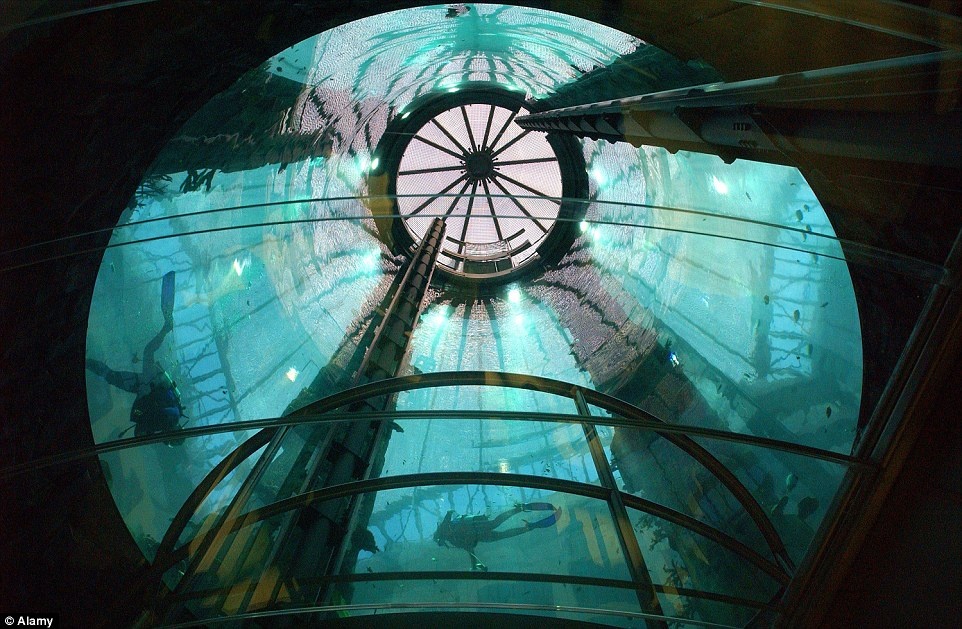 Be ca co ca thang may ben trong hinh anh