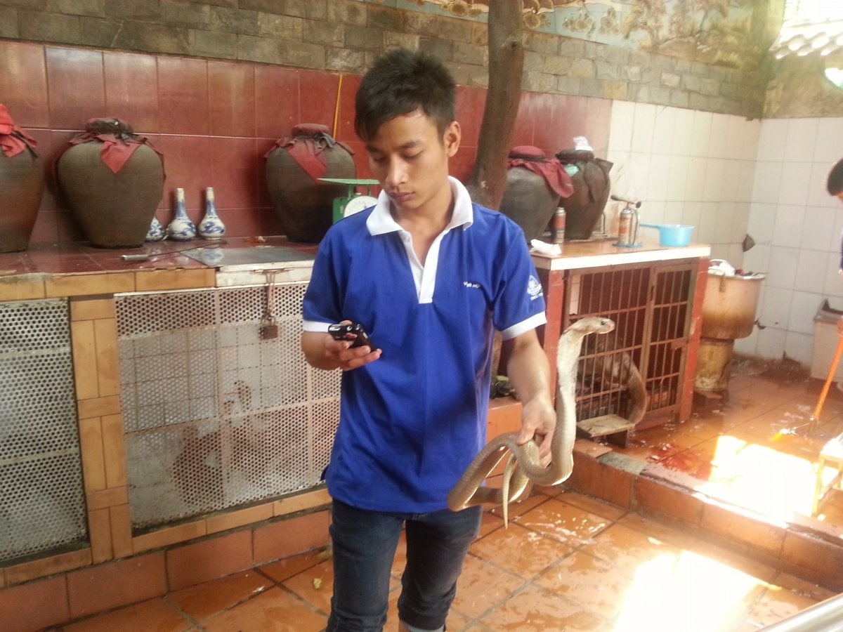 Anh đã tới Việt Nam và thưởng thức món đặc sản thịt rắn. Nhân viên phục vụ đã kiên nhẫn giữ con rắn cho anh chụp ảnh.