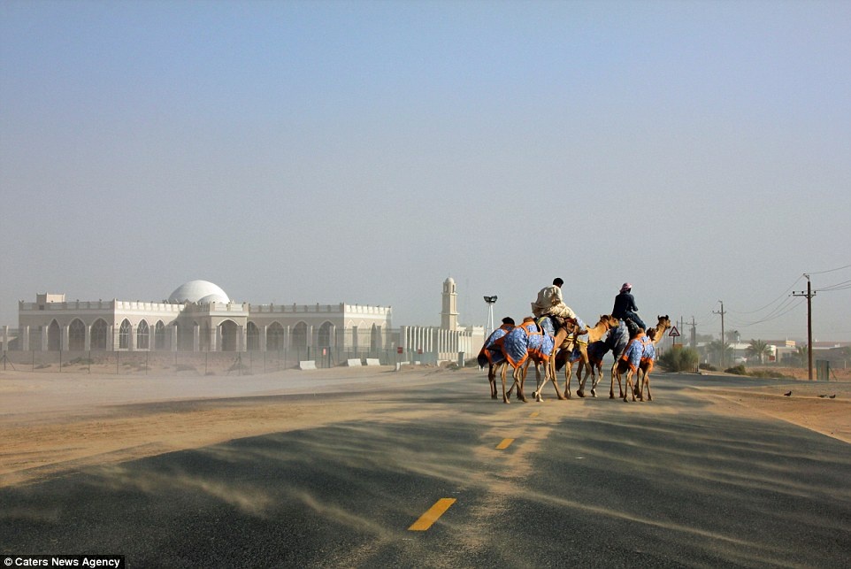 Các tình nguyện viên ở Sunseed tập trung vào các dự án giúp giữ gìn đất đai và giáo dục về môi trường. Erik yêu nơi này tới mức quyết định ở lại thêm một năm trước khi tìm kiếm dự án sinh thái tương tự ở nơi khác.
