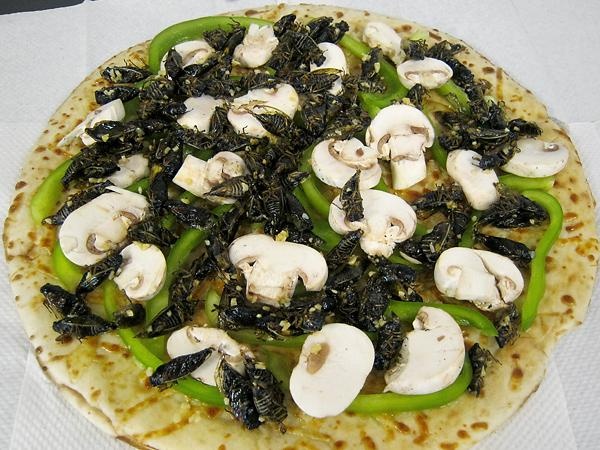 Pizza nhân ve sầu (Mỹ): Một trong những loại nhân pizza lạ lùng nhất là ve sầu. Những con ve vừa lột xác và ra khỏi lòng đất được dùng để làm salad, bánh taco và nhân pizza. Chúng có vị bùi và giòn rất hấp dẫn.