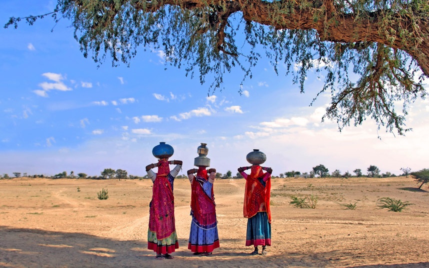 Sa mạc Thar: Sa mạc này bao phủ một phần Rajasthan (Ấn Độ), một phần Punjab và Sindh ở Pakistan. Thar có những khu vực đất cát và thảo nguyên, với hệ động vật phong phú và những cây keo tuyệt đẹp. Du khách có thể trải nghiệm cảm giác cưỡi ngựa trên thảo nguyên ở đây.