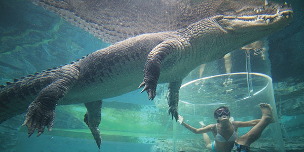 Phut doi mat ca sau hung du trong long Tu Than hinh anh