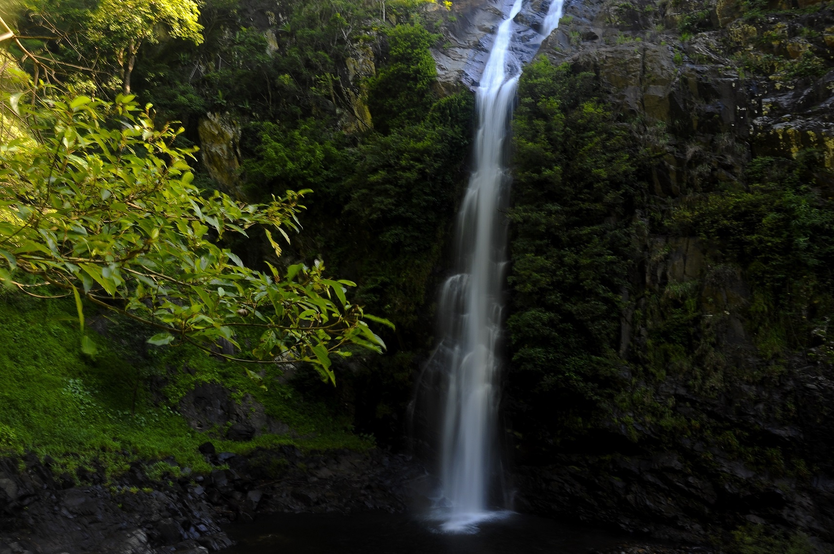 Ngọn thác hùng vĩ, quyến rủ nổi bậc giữa màu xanh đại ngàn.