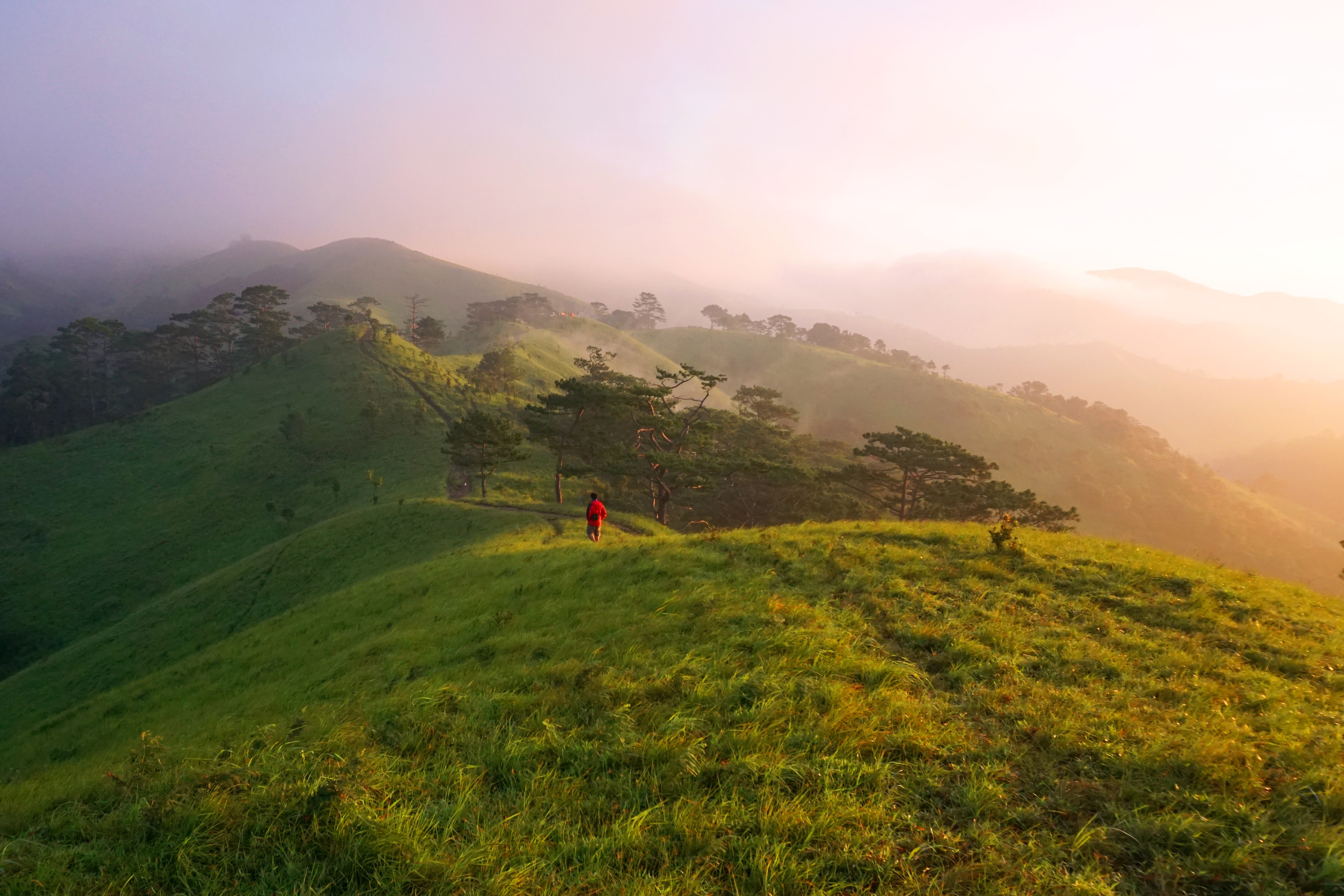 Khoảnh khắc đạo bước những tia nắng vàng đầu tiên rải đều trên những ngọn cỏ và từng làn sương mỏng bay lãng đãng bên sườn đồi như đưa vào thiên đường hạ giới.