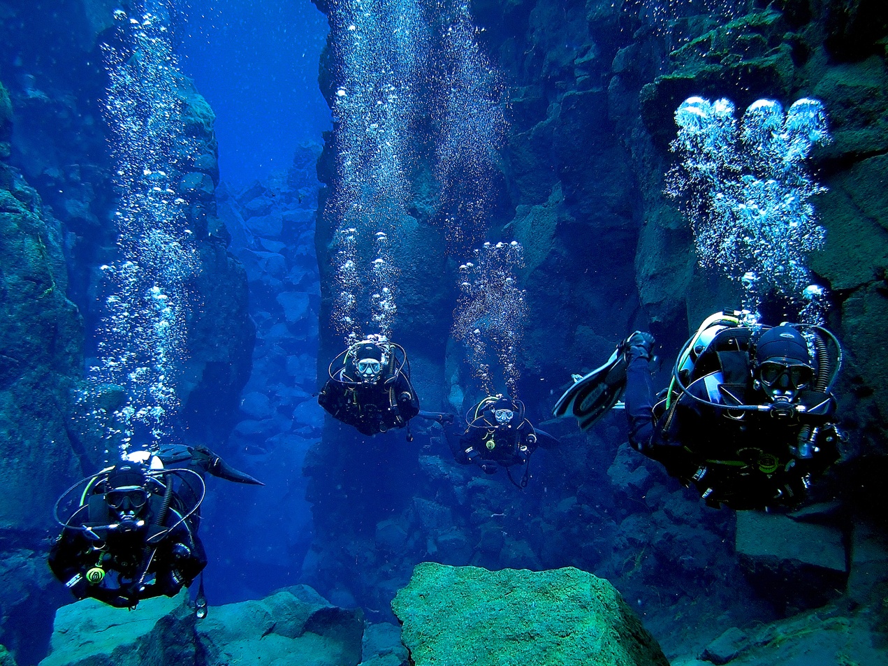 Khu vực này nằm ở Iceland, nên nhiệt độ nước duy trì ở khoảng 2-4 độ C suốt cả năm, hệ sinh vật biển ở đây rất độc đáo so với các khu vực lân cận. Gần Silfra có một điểm lặn tên Daviosgja, thuộc công viên quốc gia Thingvellir và là một Di sản Thế giới do sự quan trọng về văn hóa, địa lý và lịch sử.