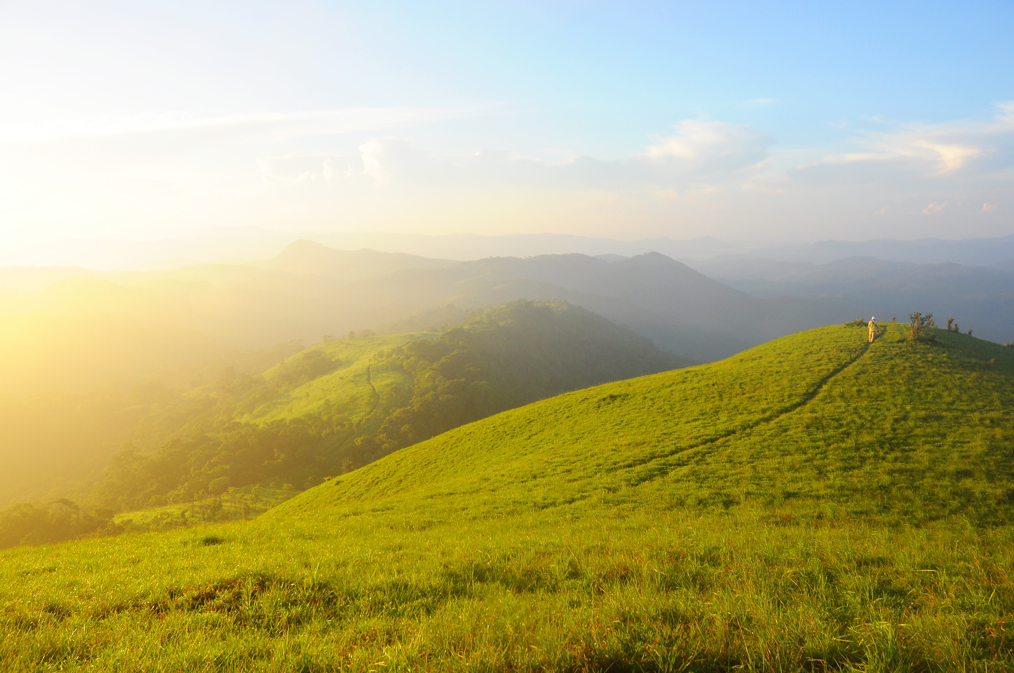 Một chút xanh xanh của cây cỏ, một chút vàng óng của những tia nắng mai xuyên qua màn sương mõng để ta có thể chạm tay vào cái thuần khiết của thiên nhiên.
